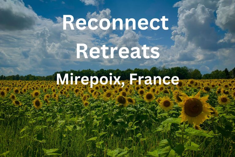 Sunflower field under a blue sky promoting Reconnect Retreats in Mirepoix, France.